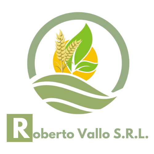 Roberto Vallo SRL